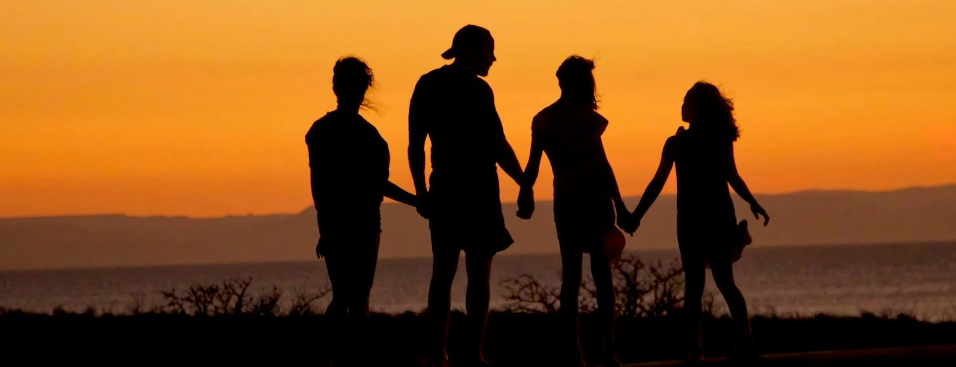 Constelatii familiale